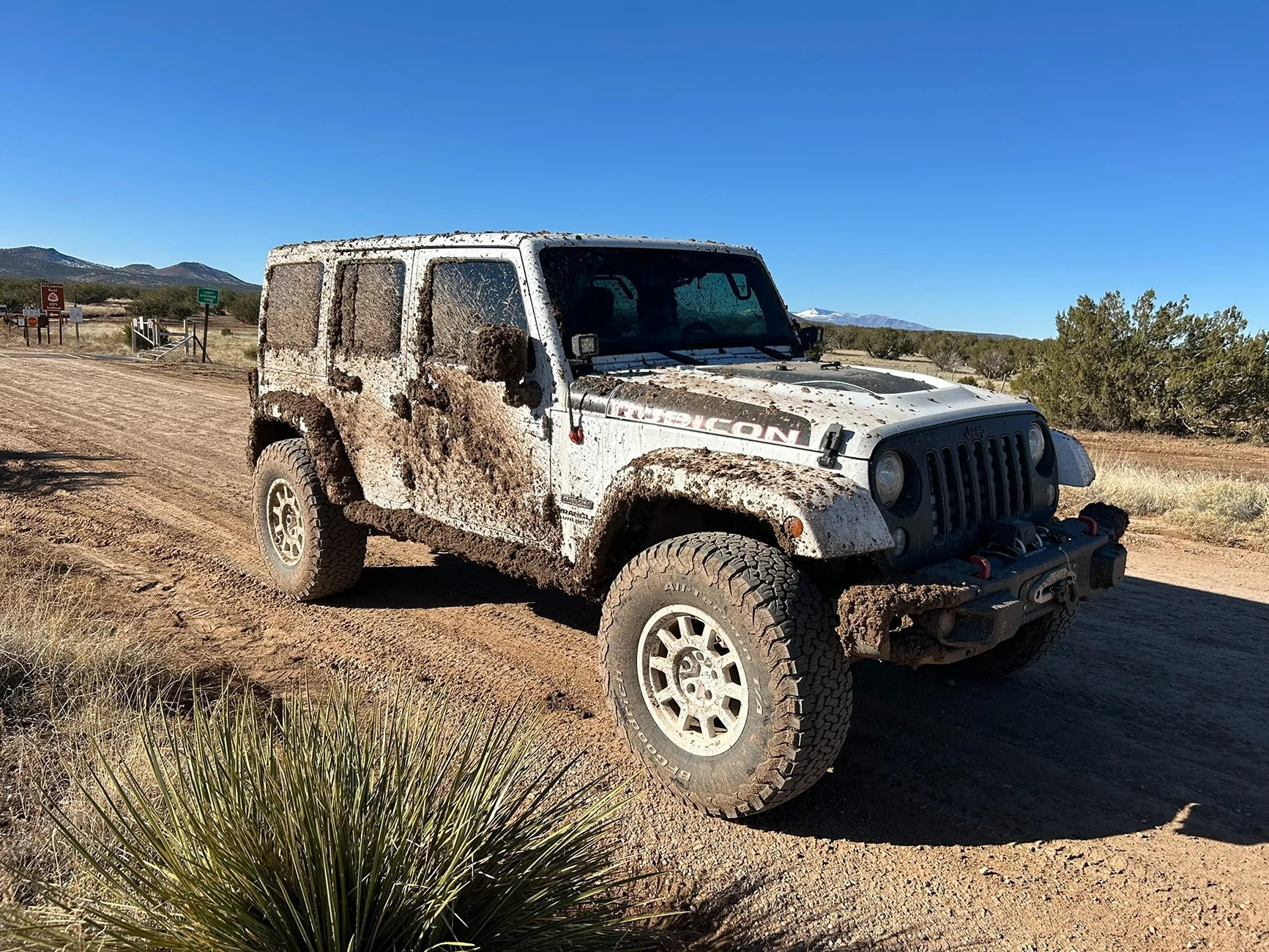 Jeep Wrangler JL White Jeep IMG_3057