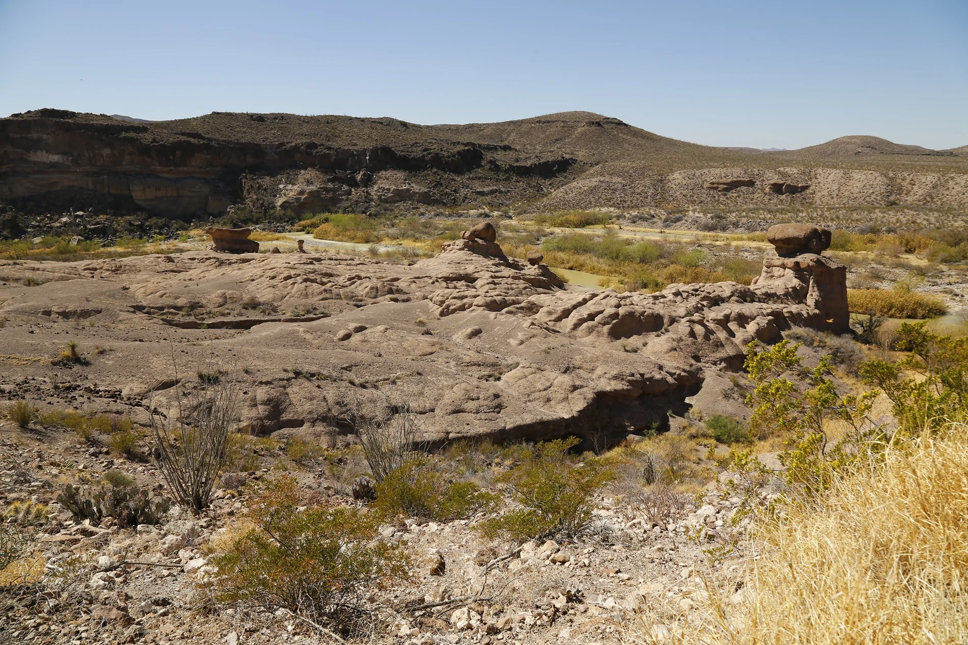 Jeep Wrangler JL Back to Big Bend (It still rocks) _Y7A1418