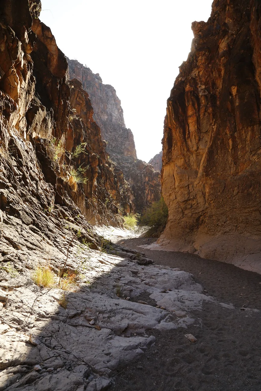 Jeep Wrangler JL Back to Big Bend (It still rocks) _Y7A1455