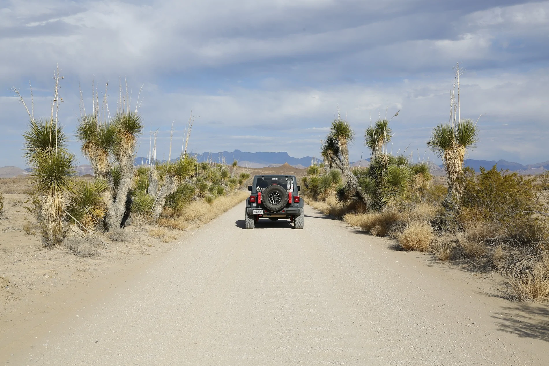 Jeep Wrangler JL Back to Big Bend (It still rocks) _Y7A1552