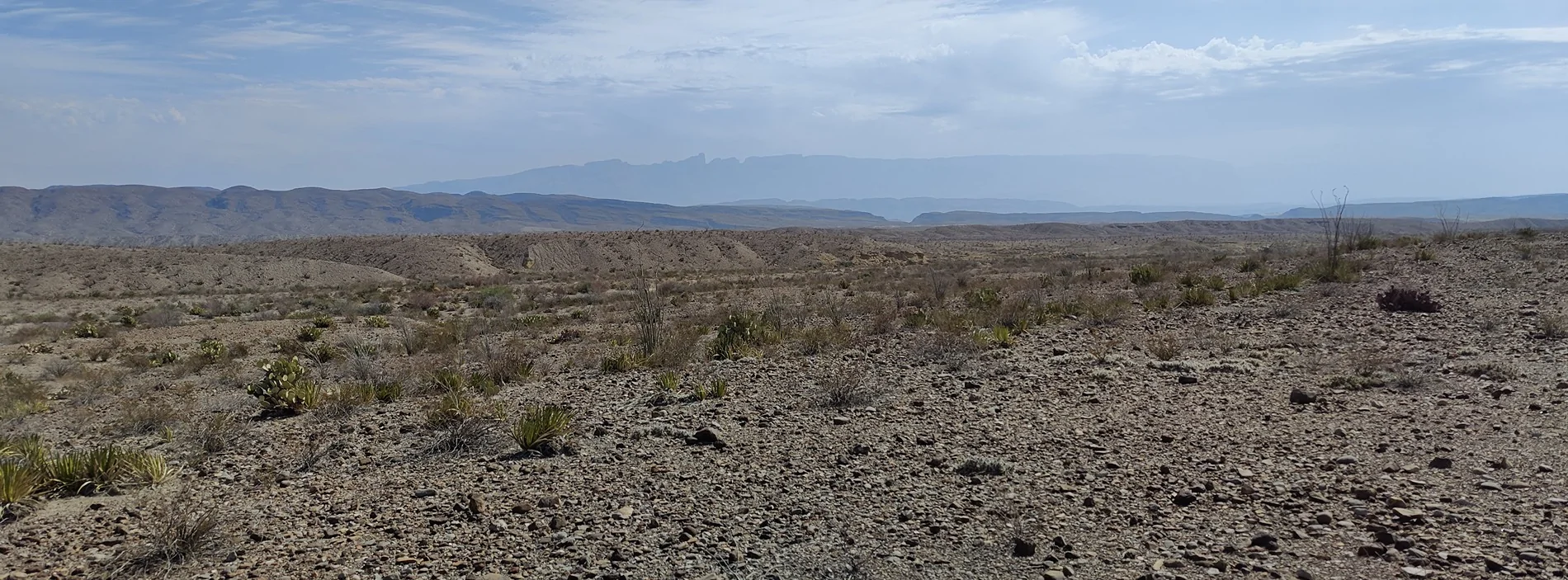 Jeep Wrangler JL Back to Big Bend (It still rocks) IMG20260305110844