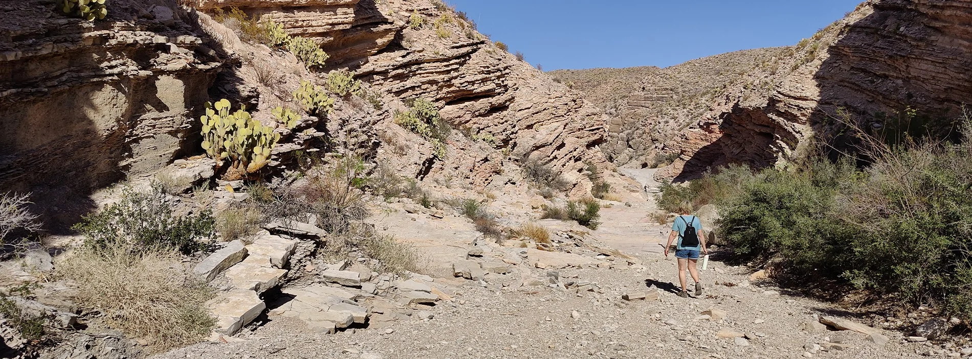 Jeep Wrangler JL Back to Big Bend (It still rocks) IMG20260305155632