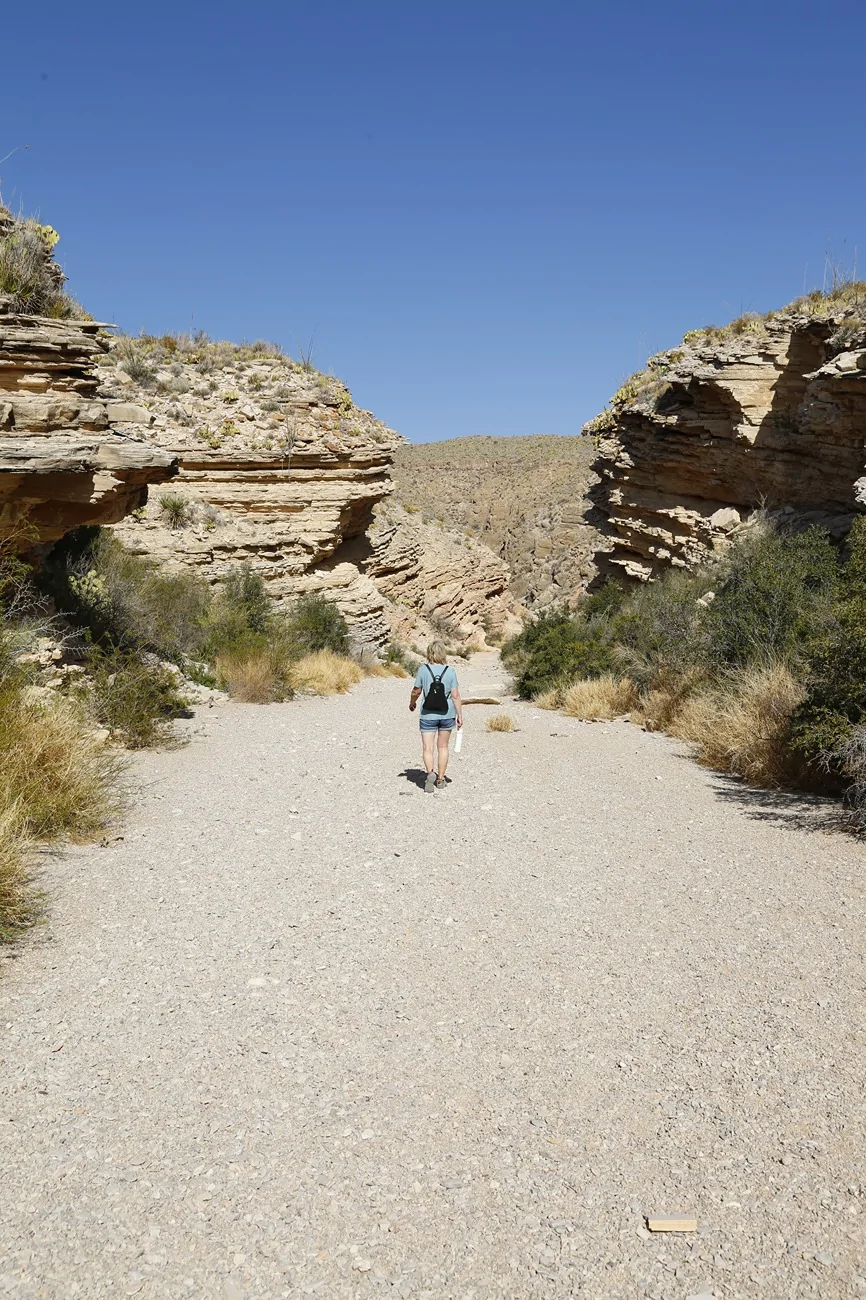 Jeep Wrangler JL Back to Big Bend (It still rocks) _Y7A1597
