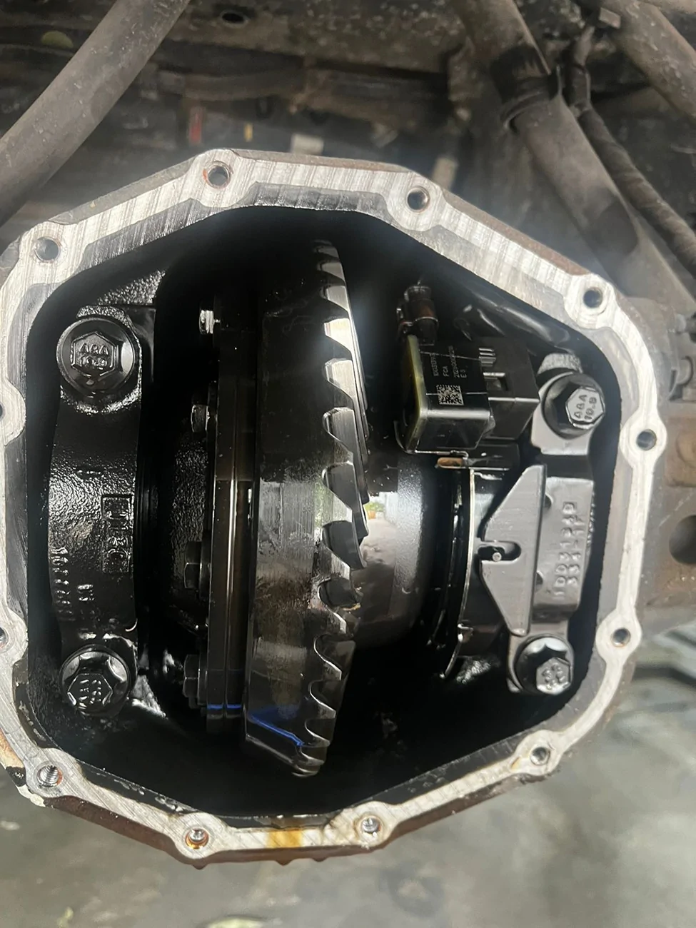 Jeep Wrangler JL Help in identifying diff/axle 613eed40-c1e0-43a5-a017-49f36eb4b53