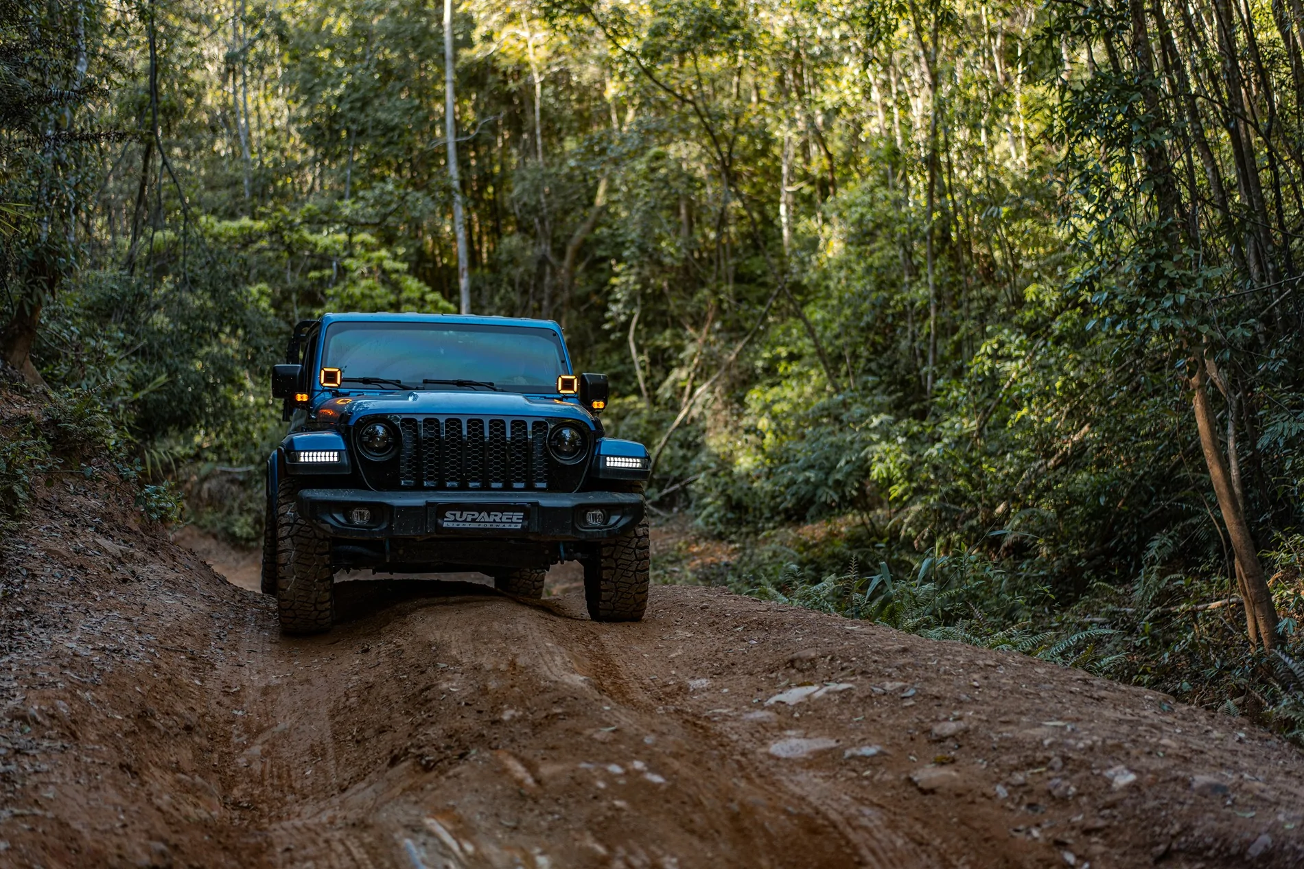 Jeep Wrangler JL Trail Moments DSC01537