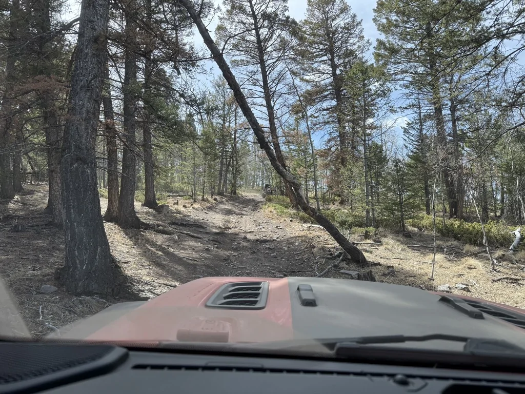 Jeep Wrangler JL Colorado Adventures Continued (Punk'n JLR) E0ABB2D2-2D2F-4B54-9E7E-C91C6D677C70_1_105_c