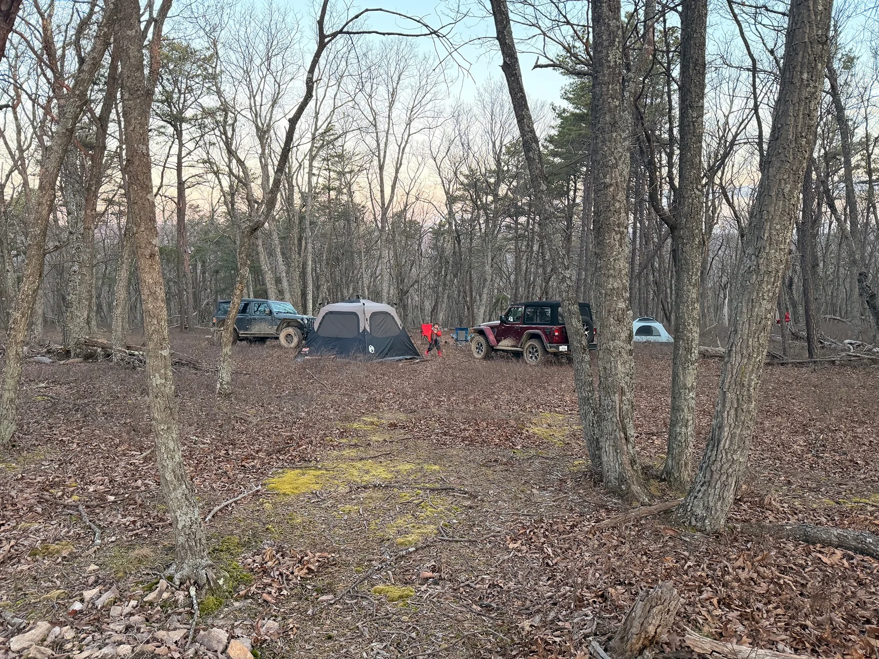 Jeep Wrangler JL What  are your camping setups? IMG_6269