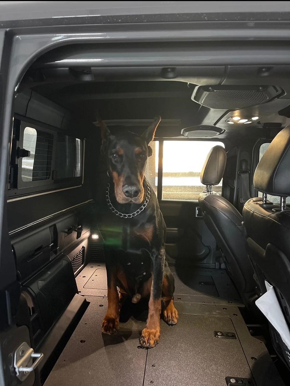 Jeep Wrangler JL Jeep Dog pics IMG_9911