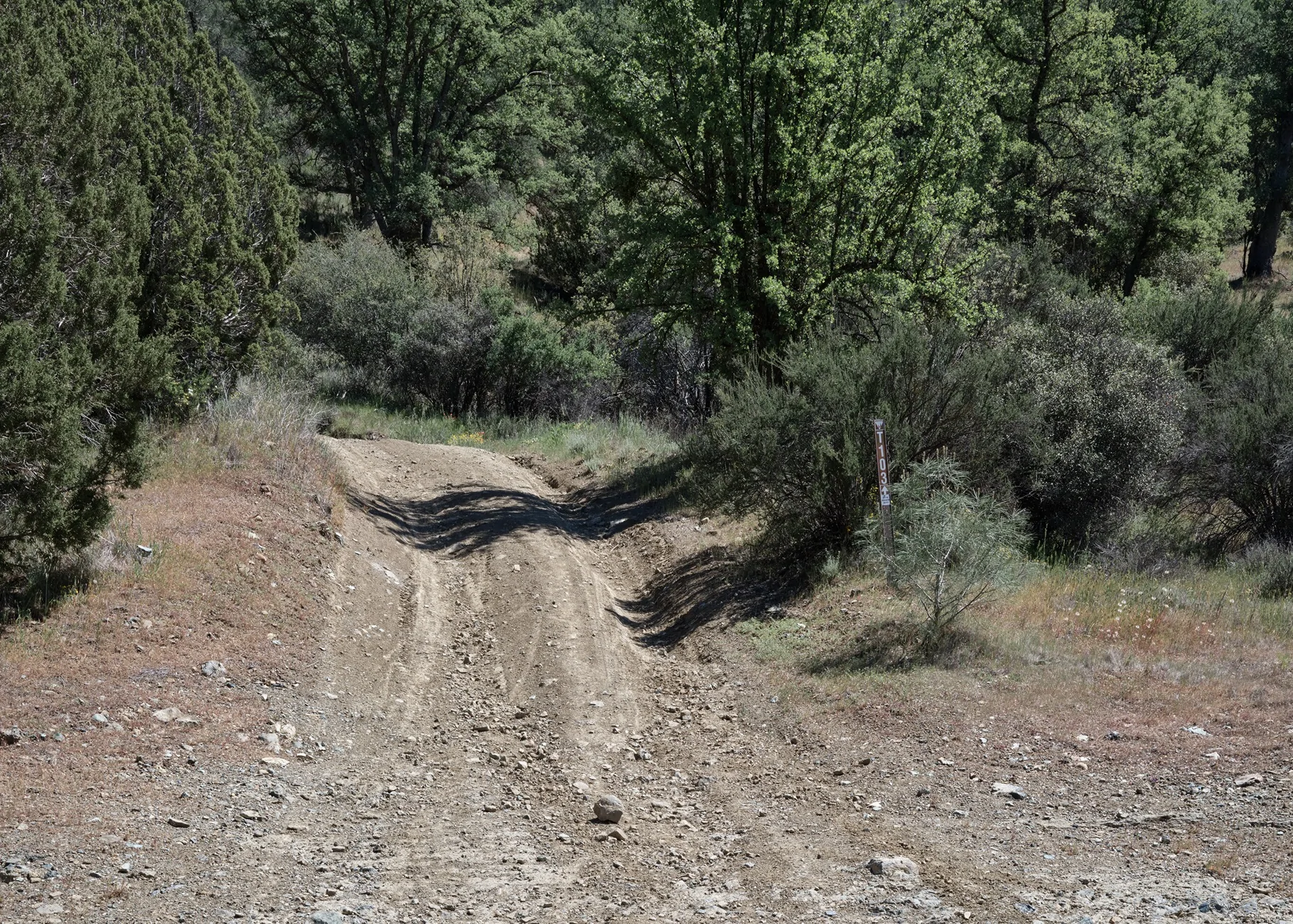 Jeep Wrangler JL Clear Creek Misadventure 20260407-FUJI9569-C1