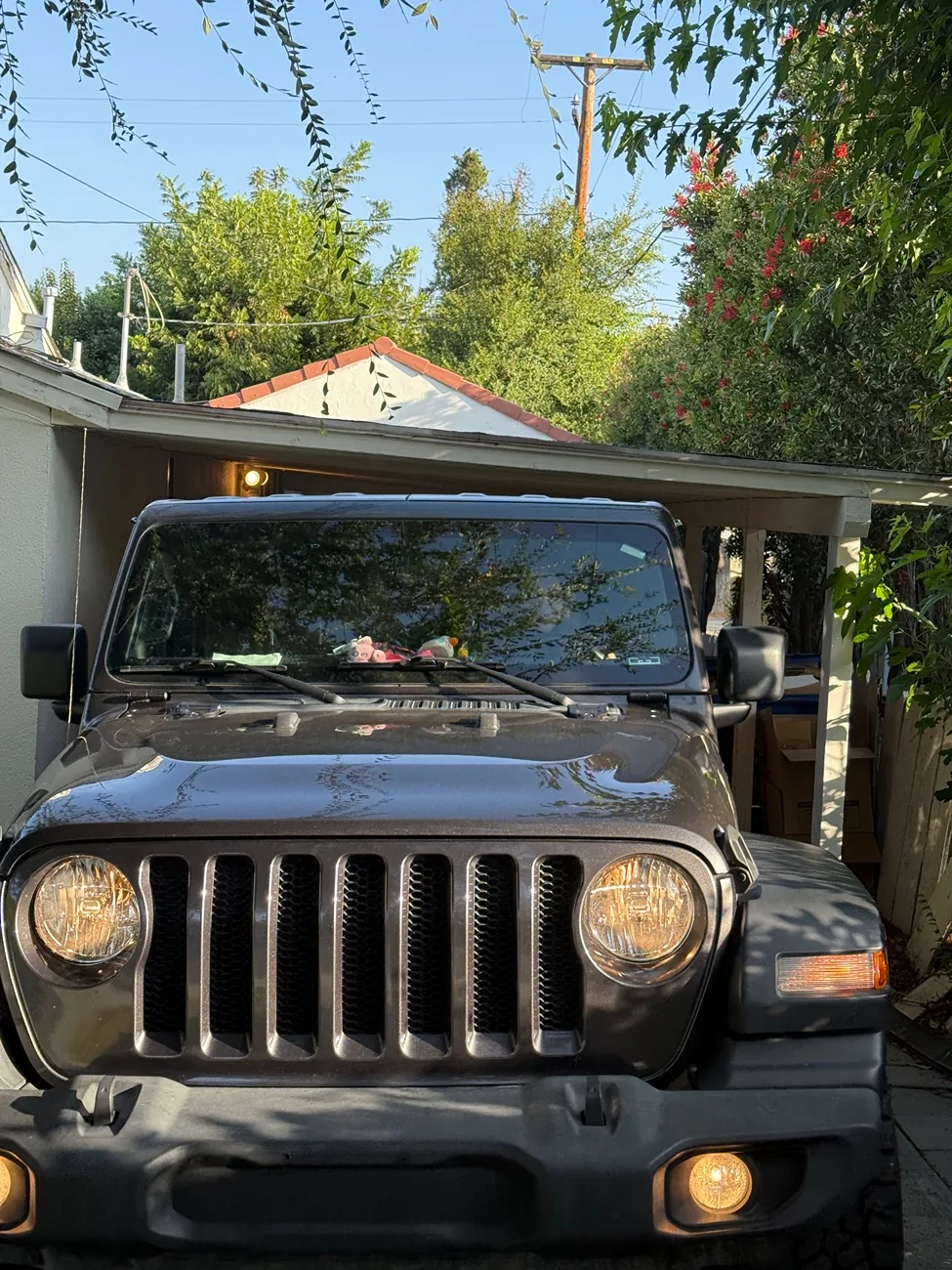 Jeep Wrangler JL Lil Sports guide from Marketplace Mojave to a Raptor hunting journey IMG_1698