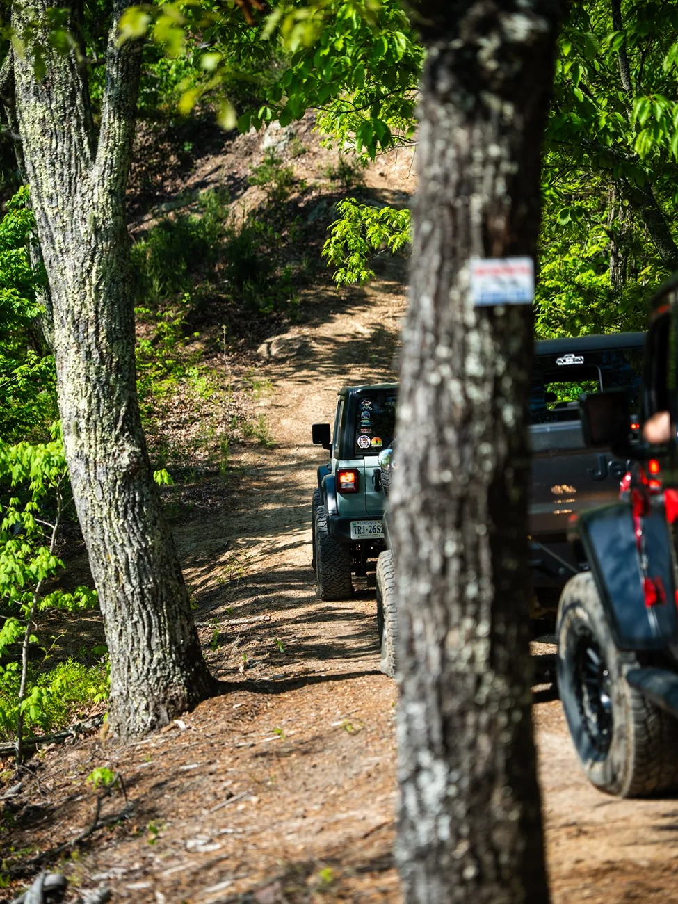Jeep Wrangler JL New TN & NC BOH Trails DSC04520