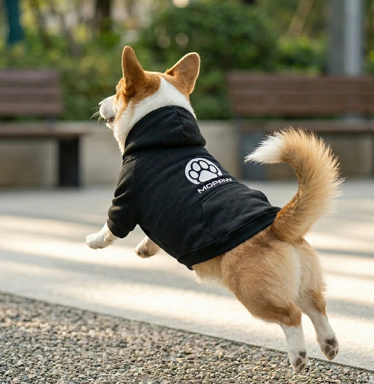 Jeep Gladiator Mopar announces Mopaw, new line of travel and vehicle‑related pet accessories {filename}