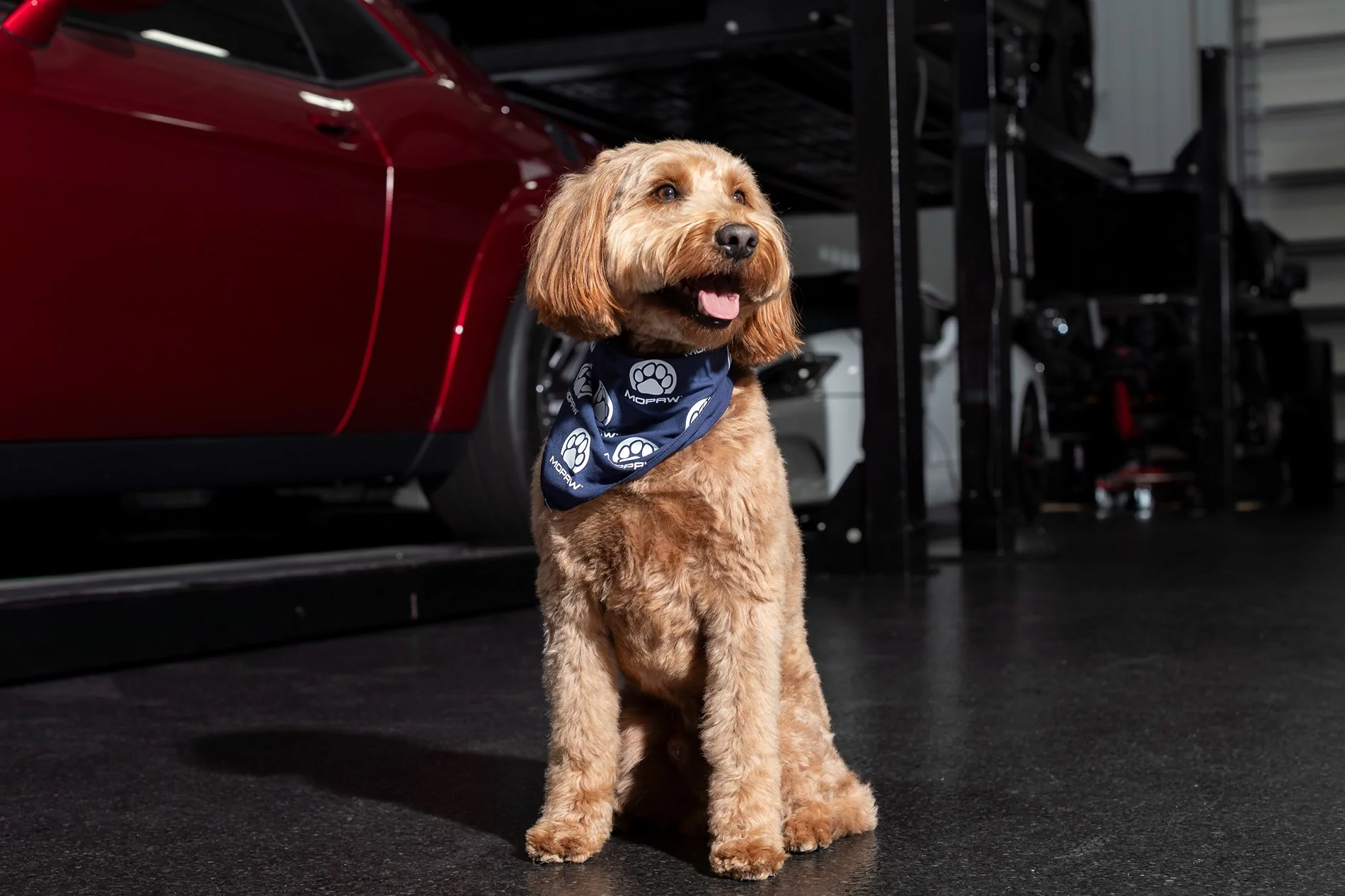 Jeep Gladiator Mopar announces Mopaw, new line of travel and vehicle‑related pet accessories {filename}