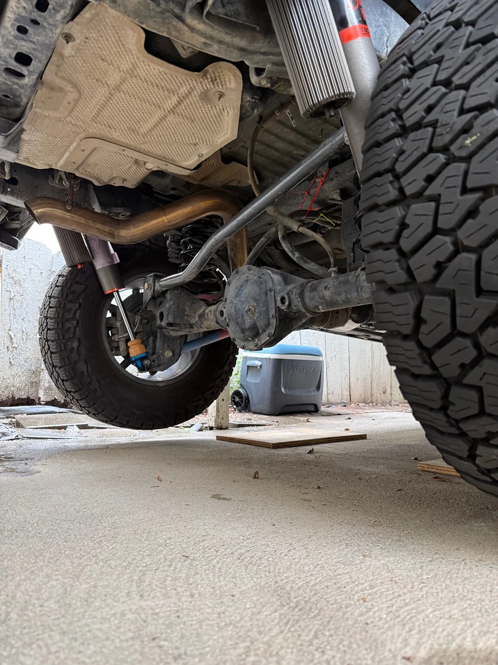 Jeep Wrangler JL Lil Sports guide from Marketplace Mojave to a Raptor hunting journey IMG_3857
