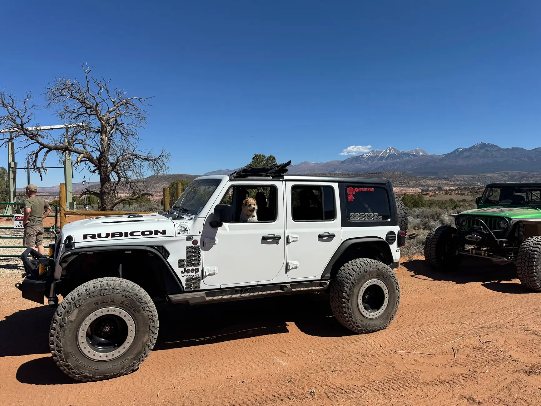 Jeep Wrangler JL Jeep Dog pics 1777337536943-92