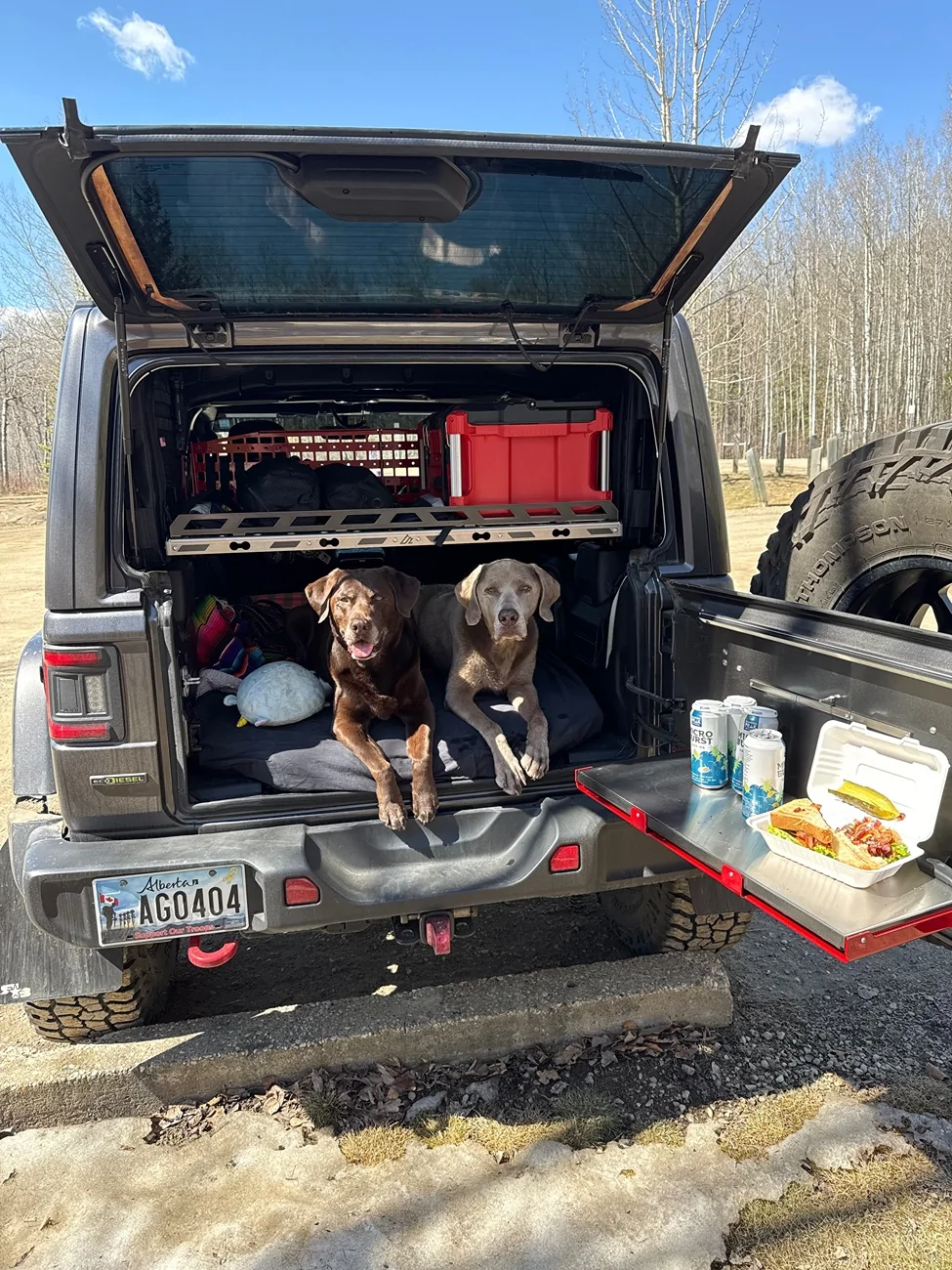 Jeep Wrangler JL Jeep Dog pics IMG_7890