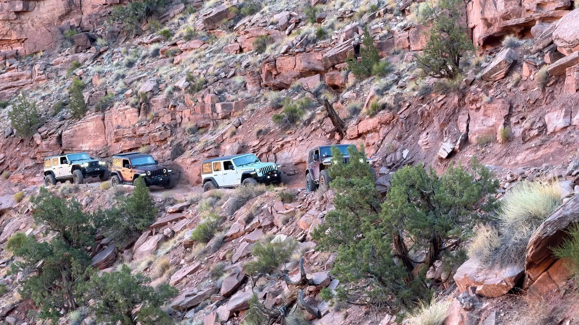 Jeep Wrangler JL Better Late Than Never - A tale of addiction and poor money management. 1779720989034-7l