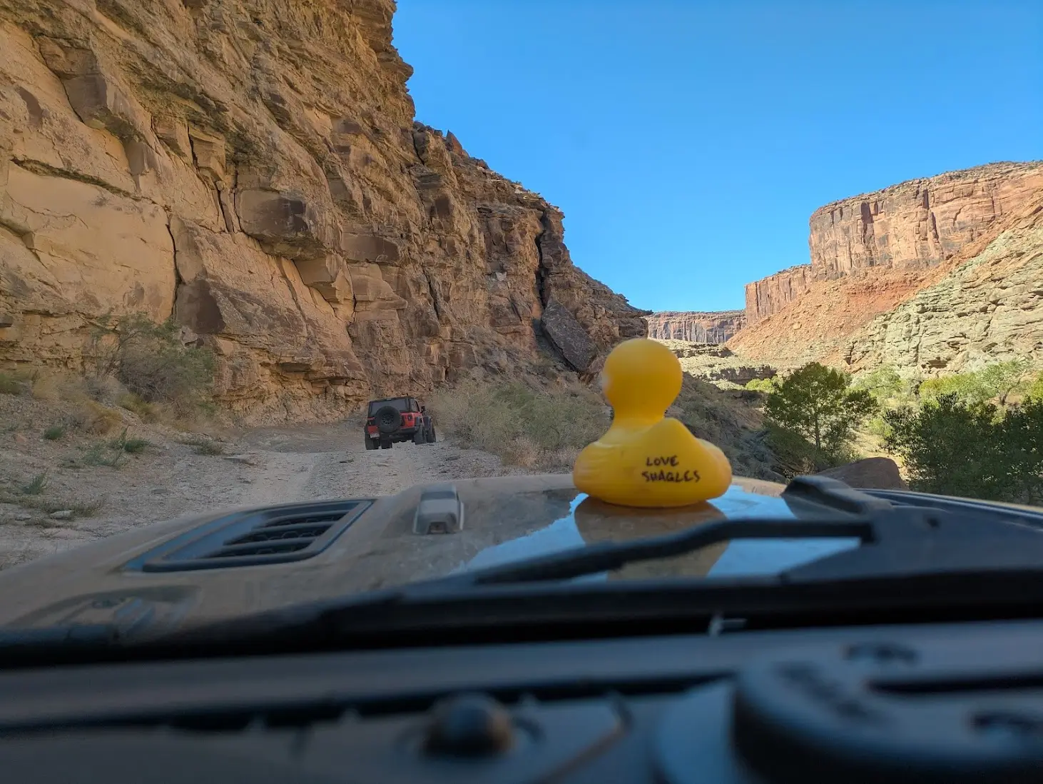 Jeep Wrangler JL Better Late Than Never - A tale of addiction and poor money management. 1779722988462-od