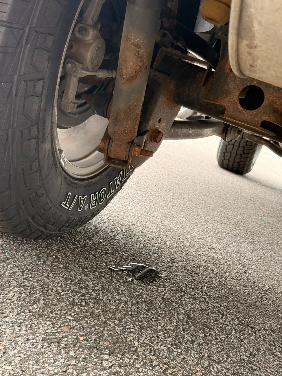 Jeep Wrangler JL Too much Rust? Looking to potentially buy this 2018 JLU Sahara IMG_2701