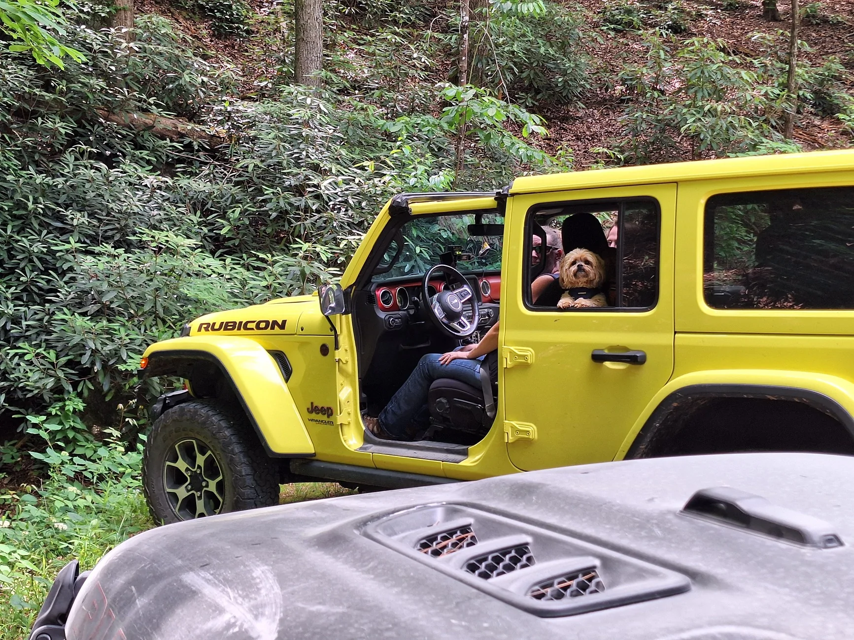 Jeep Wrangler JL Spent time exploring Pisgha NF 20260607_141955