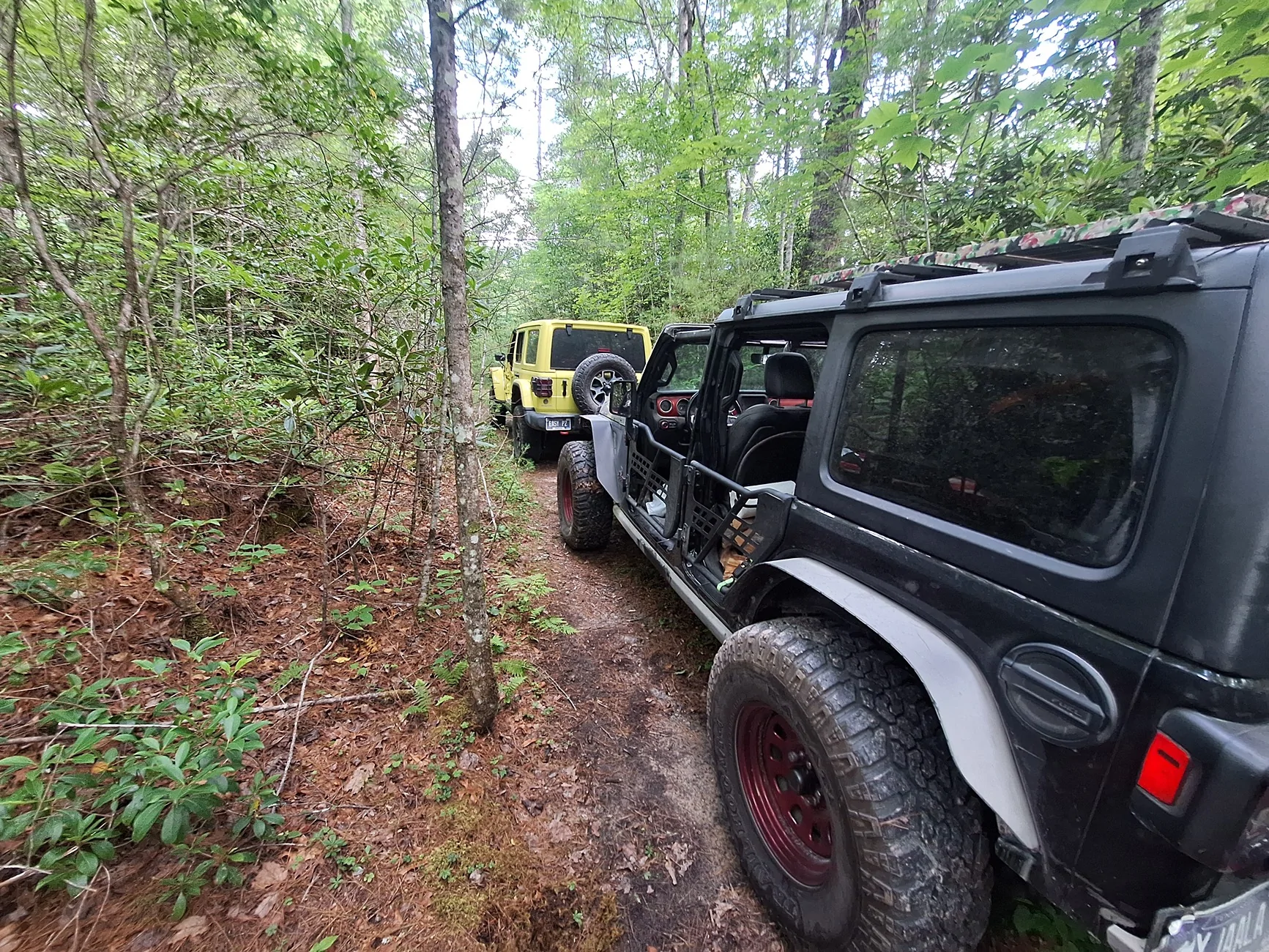 Jeep Wrangler JL Spent time exploring Pisgha NF 20260607_083923