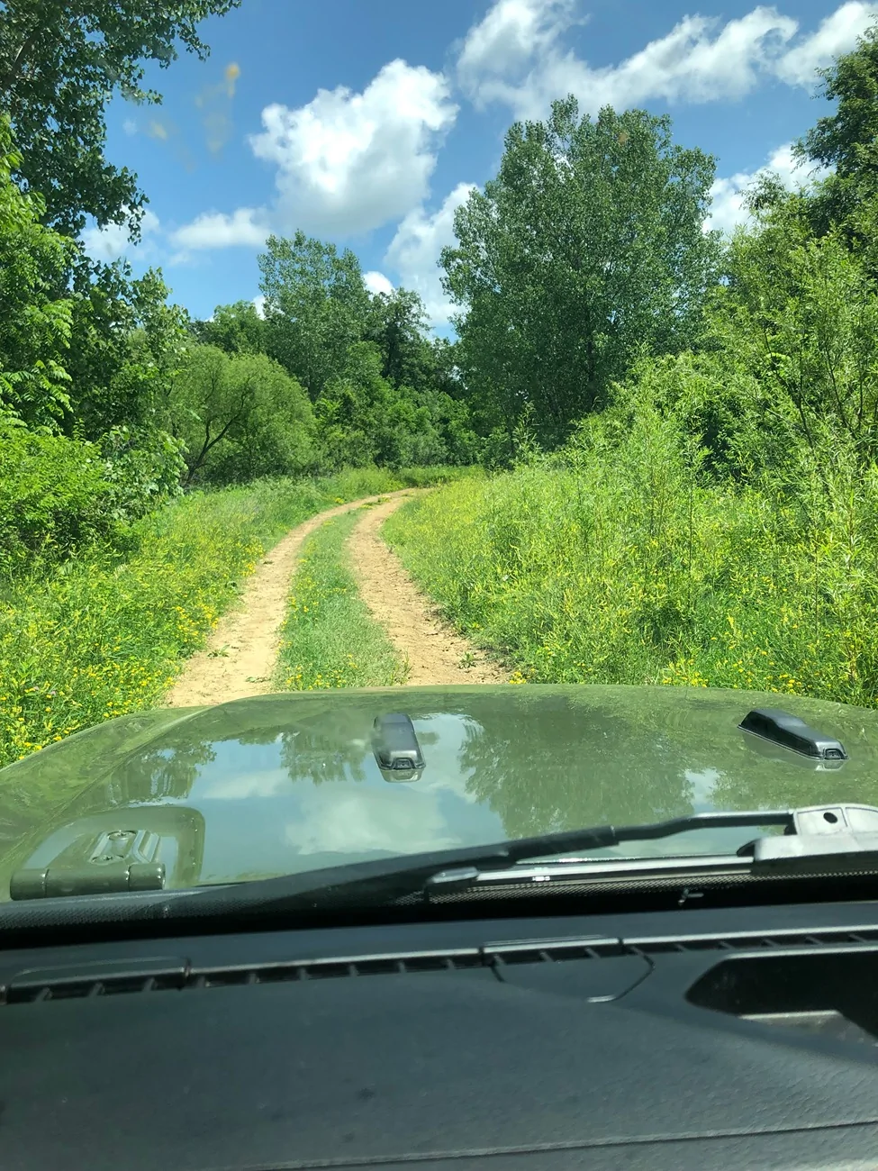Jeep Wrangler JL State Forest class-B roads IMG_3139