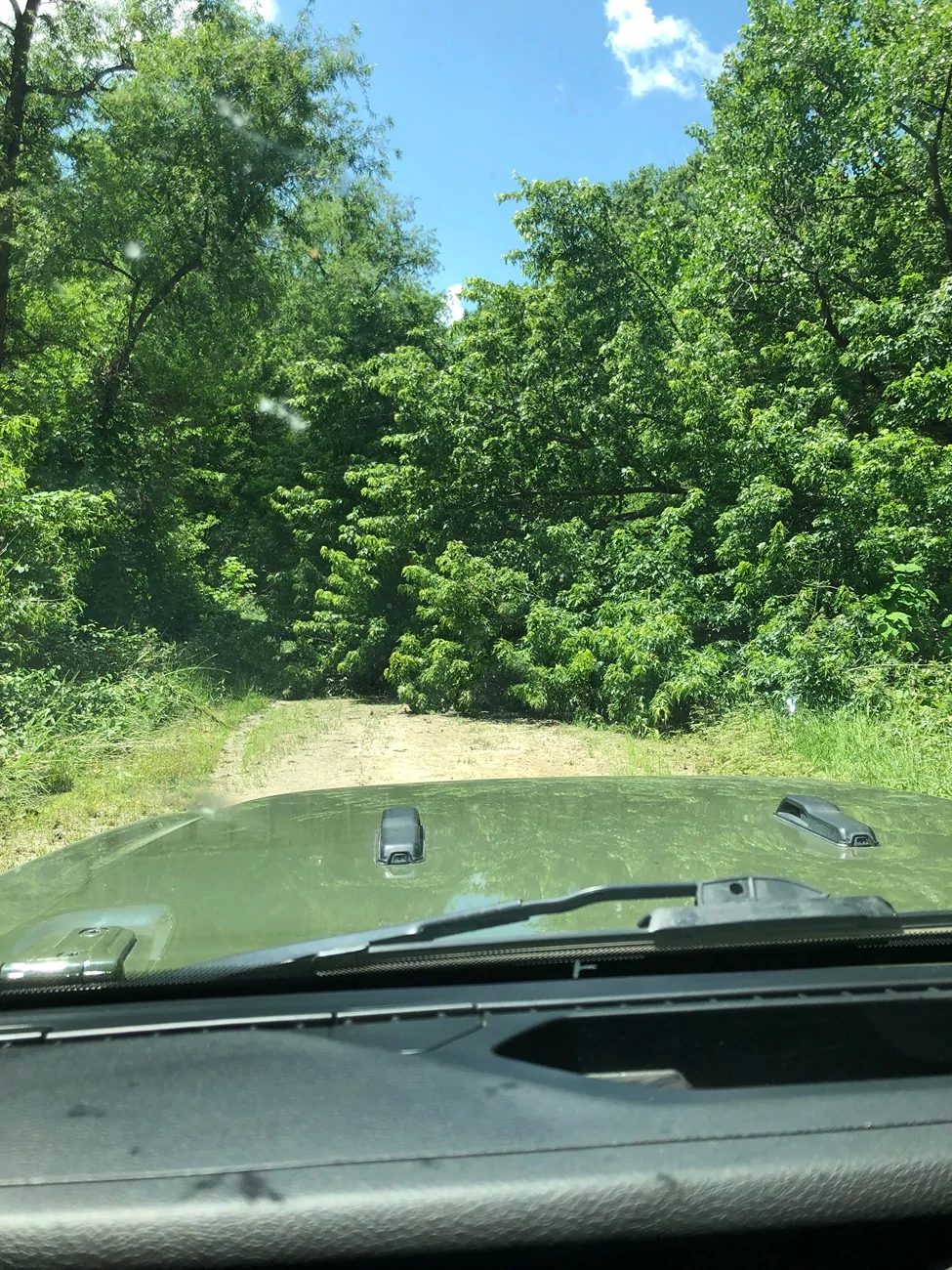 Jeep Wrangler JL State Forest class-B roads IMG_3136