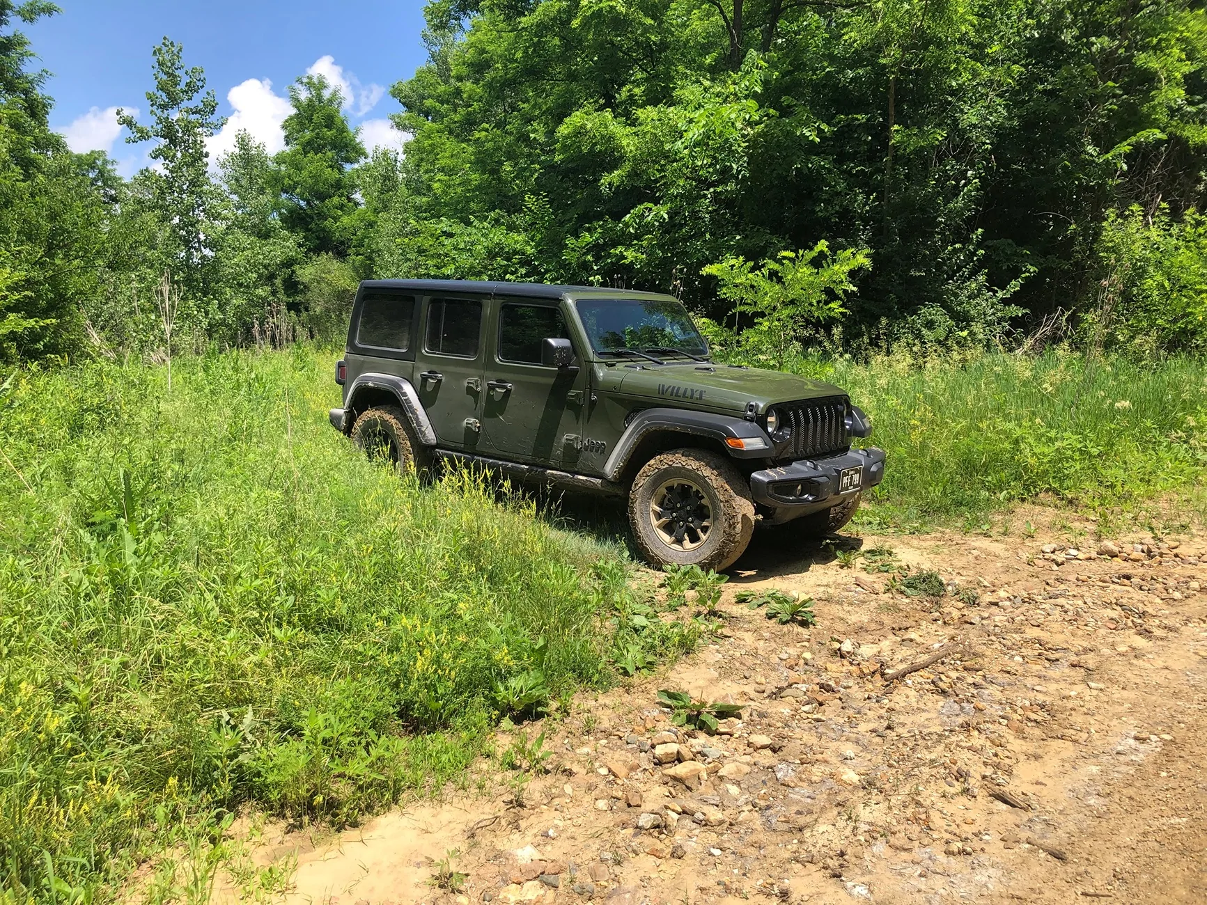 Jeep Wrangler JL State Forest class-B roads IMG_3141