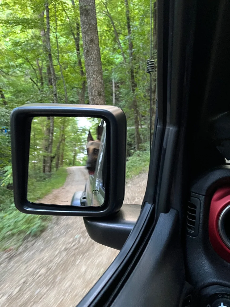 Jeep Wrangler JL Jeep Dog pics IMG_6003