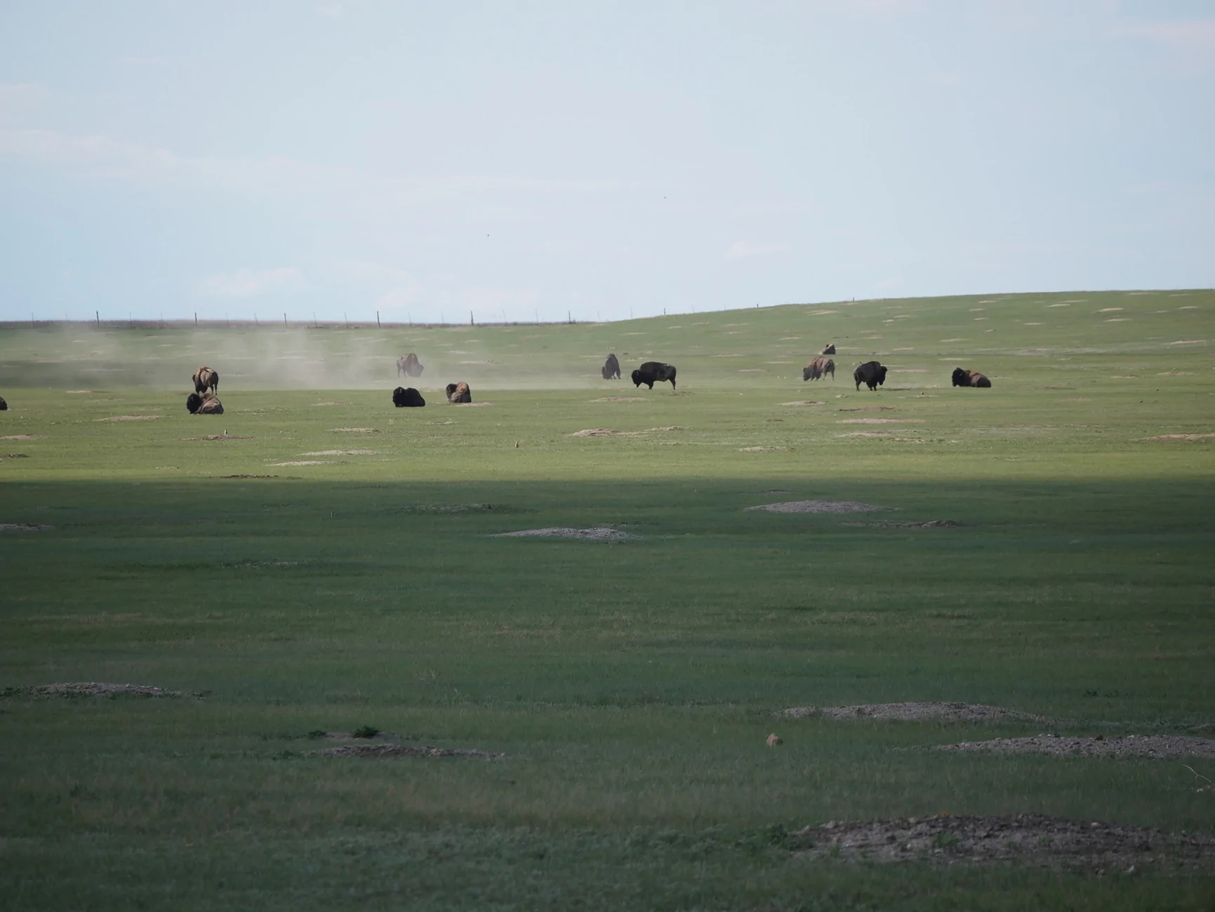 Jeep Wrangler JL Virginia to Black Hills in my 4xe P1010106