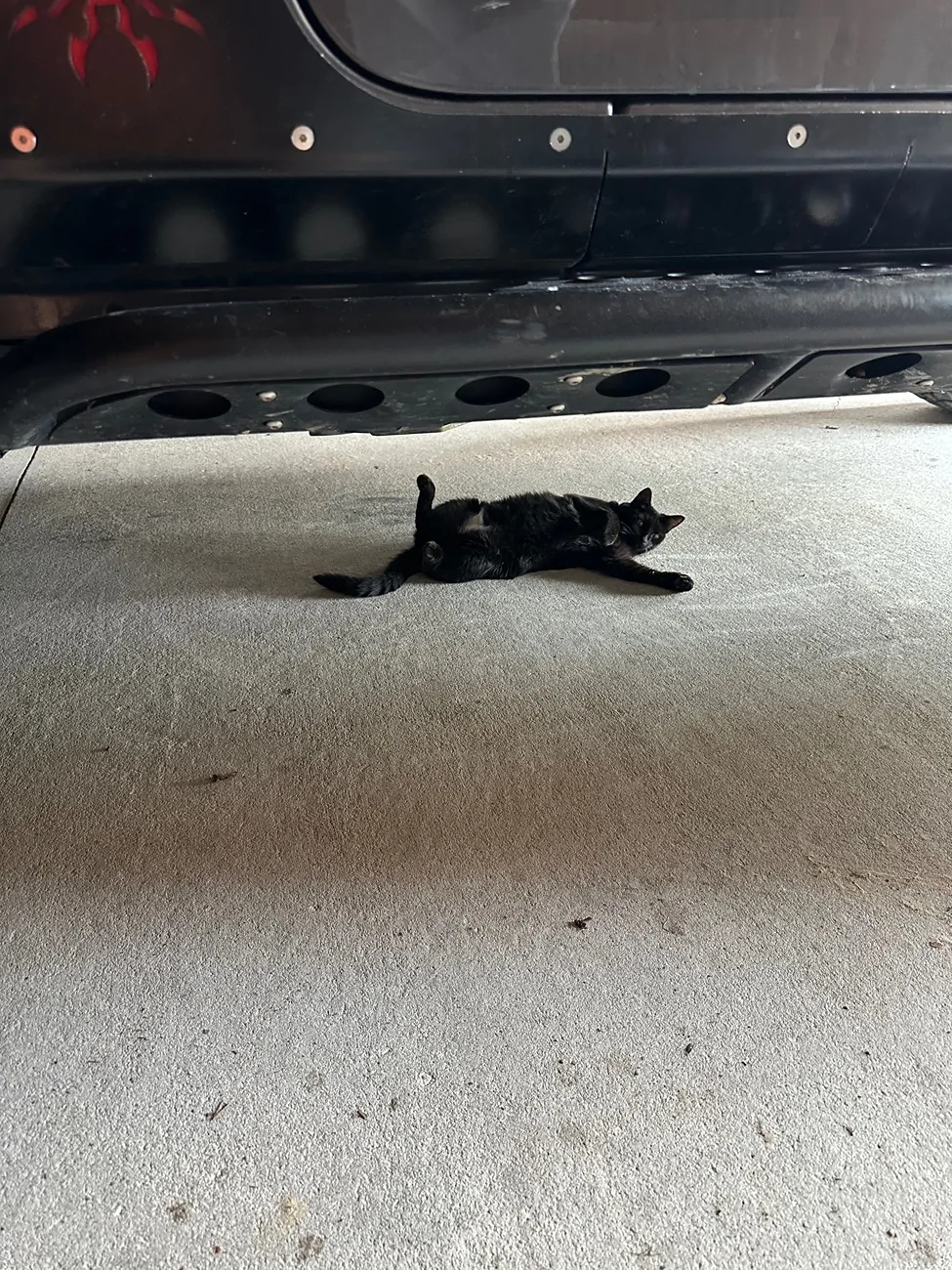Jeep Wrangler JL Crystal Rubi build… IMG_1372