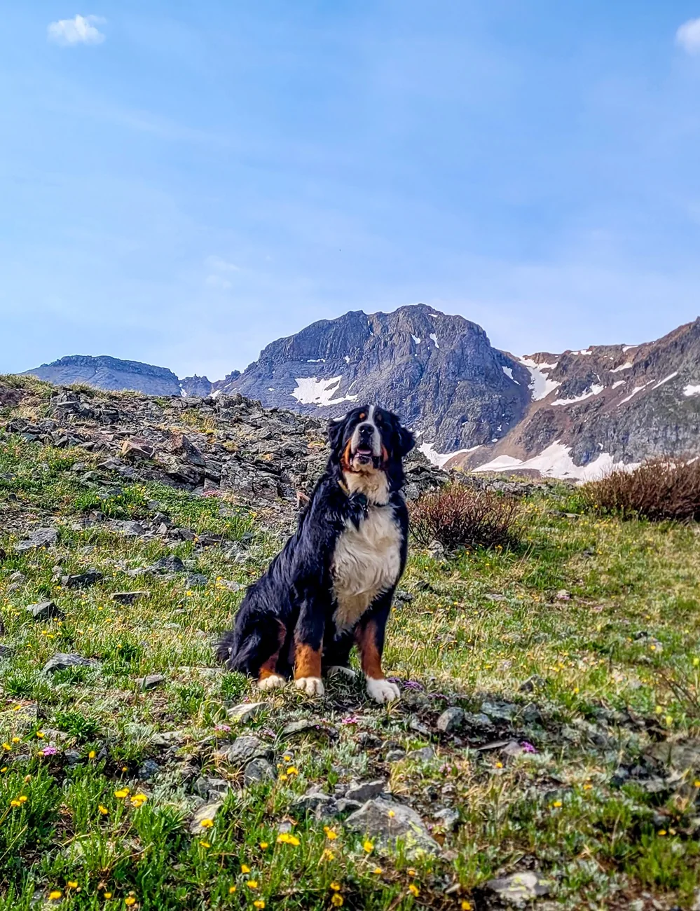 Jeep Wrangler JL San Juan Mountains Trip - June 2026 20260624_103235