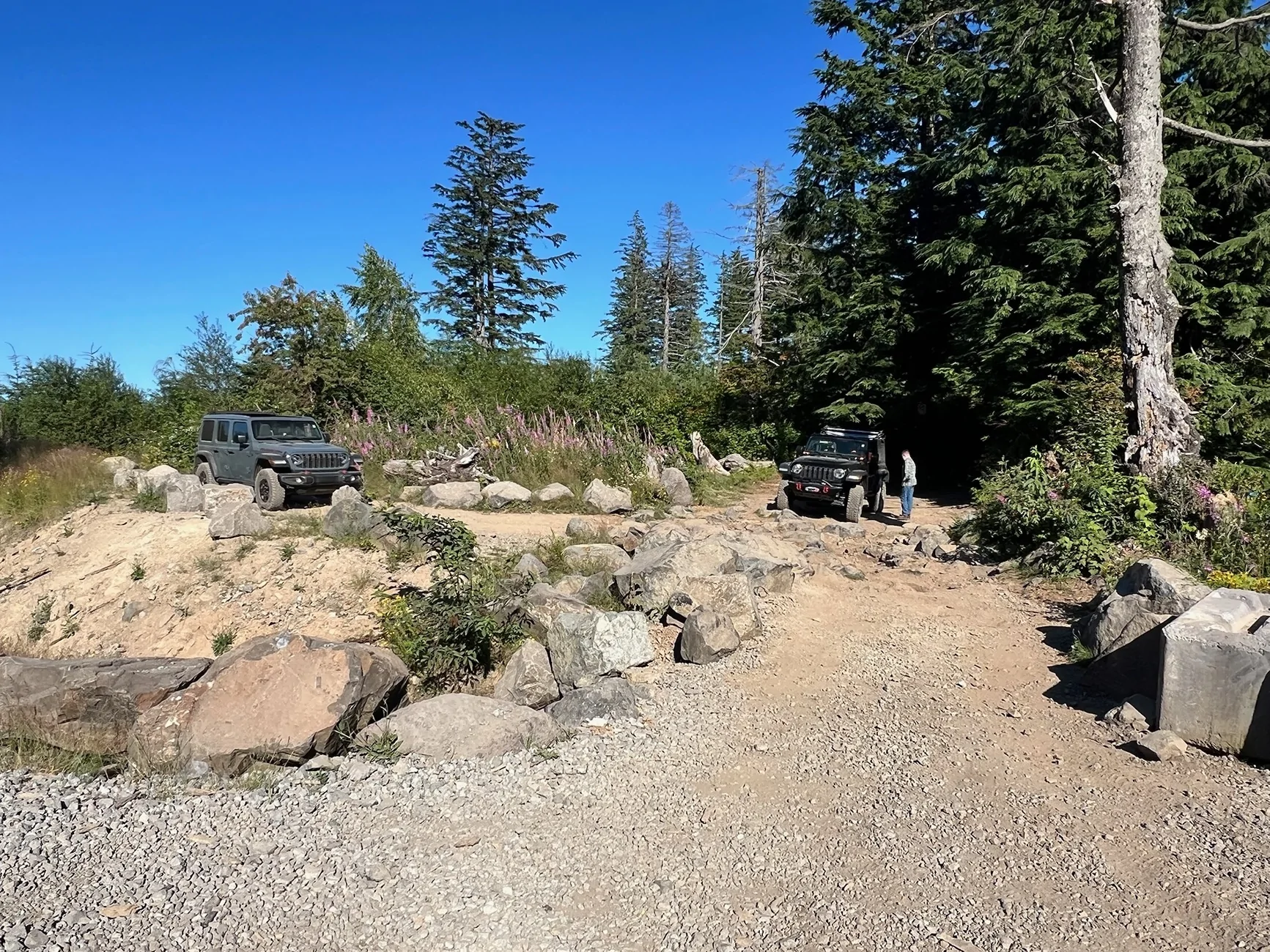 Jeep Wrangler JL How Often Are You Guys Actually Hitting the Trails? IMG_5780