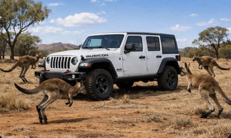 Jeep Wrangler JL My rubicon IMG_4052