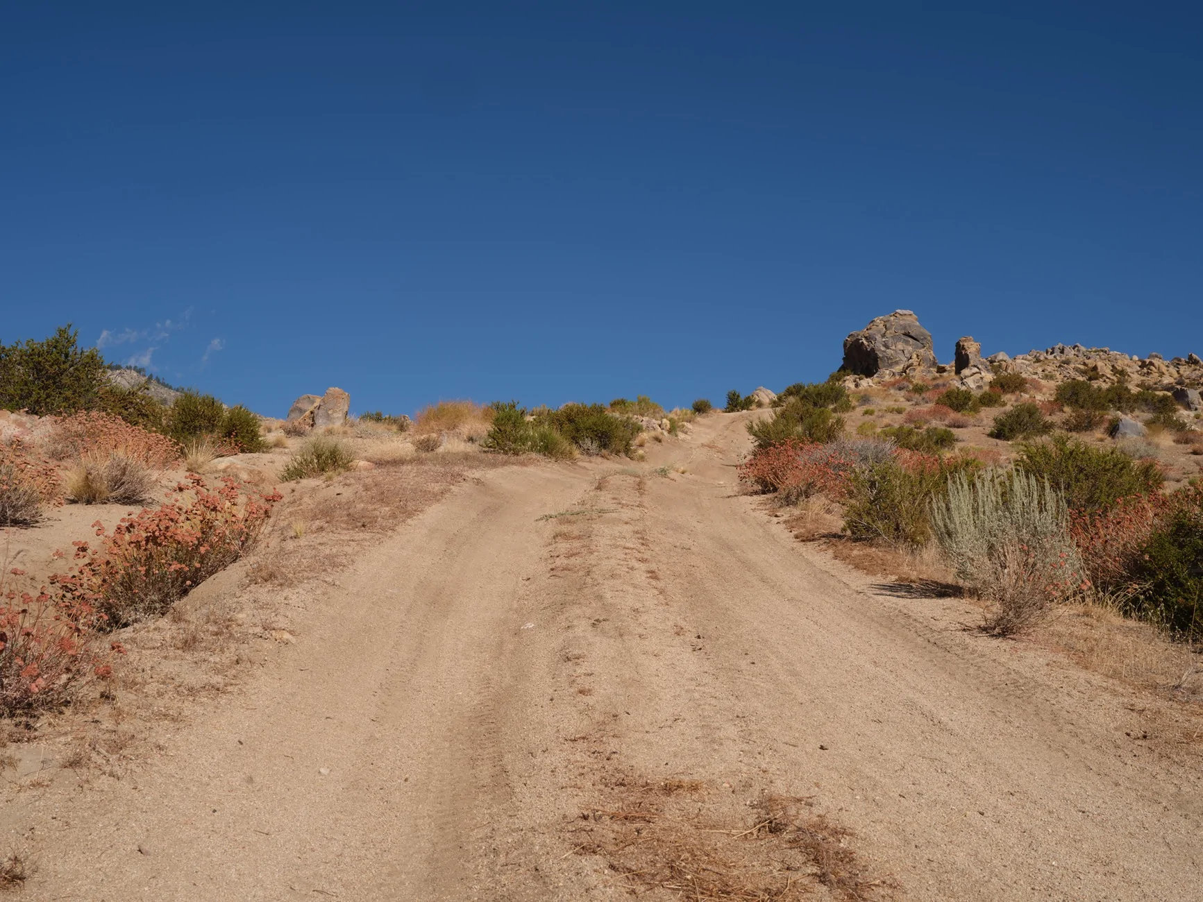 Jeep Wrangler JL Coyote Flat Trail 20260814-FUJI1008-C1