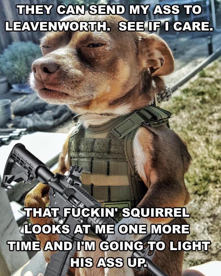 Jeep Wrangler JL Jeep humor waiting room ( ** NO POLITICS ** ) 003CE0A1-4706-4B5E-A0F2-034D5180A080