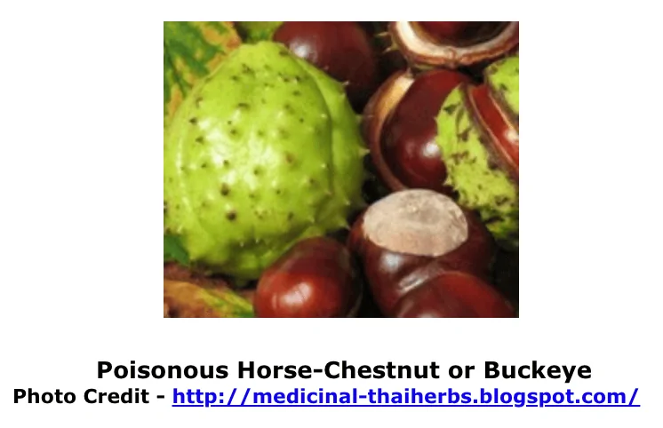 Screen Shot 2018-12-02 at 8.53.31 AM.webp