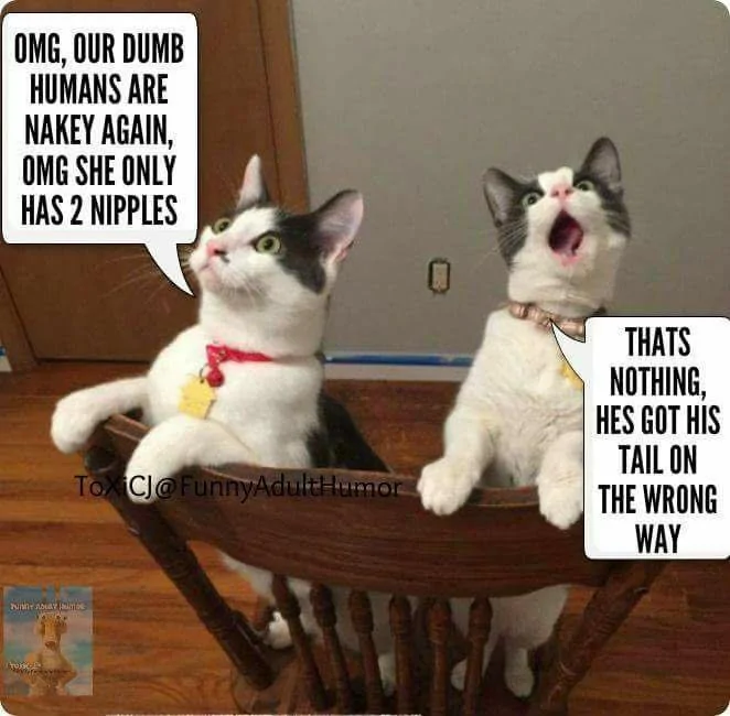 Jeep Wrangler JL Jeep humor waiting room ( ** NO POLITICS ** ) 37768721_1868521753186468_7727137355143839744_n