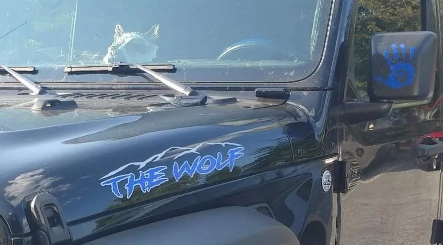 Jeep Wrangler JL Show us your unique hood decals! FB_IMG_1544632627537~2