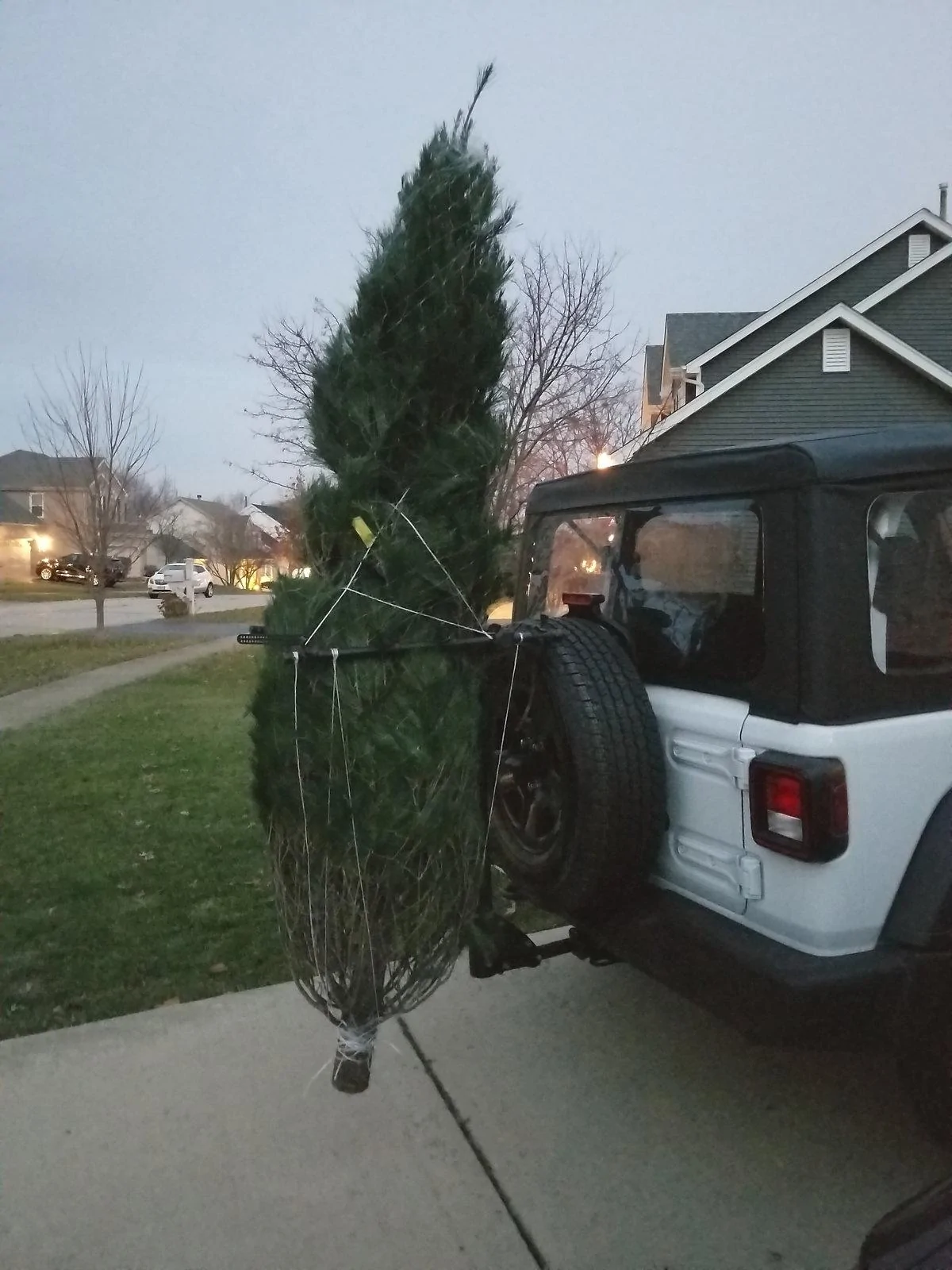 Jeep Wrangler JL Introductions & Welcome Thread 👋 Jeep w Tr