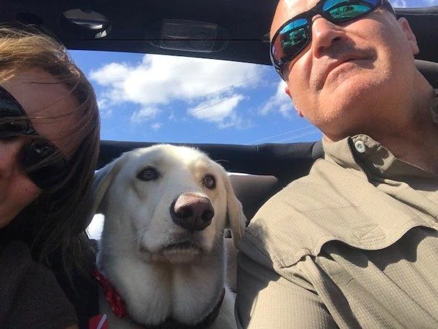 Jeep Wrangler JL Jeep Dog pics image1(1)