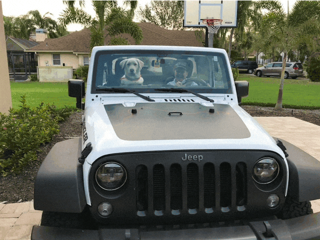 Jeep Wrangler JL Jeep Dog pics image3