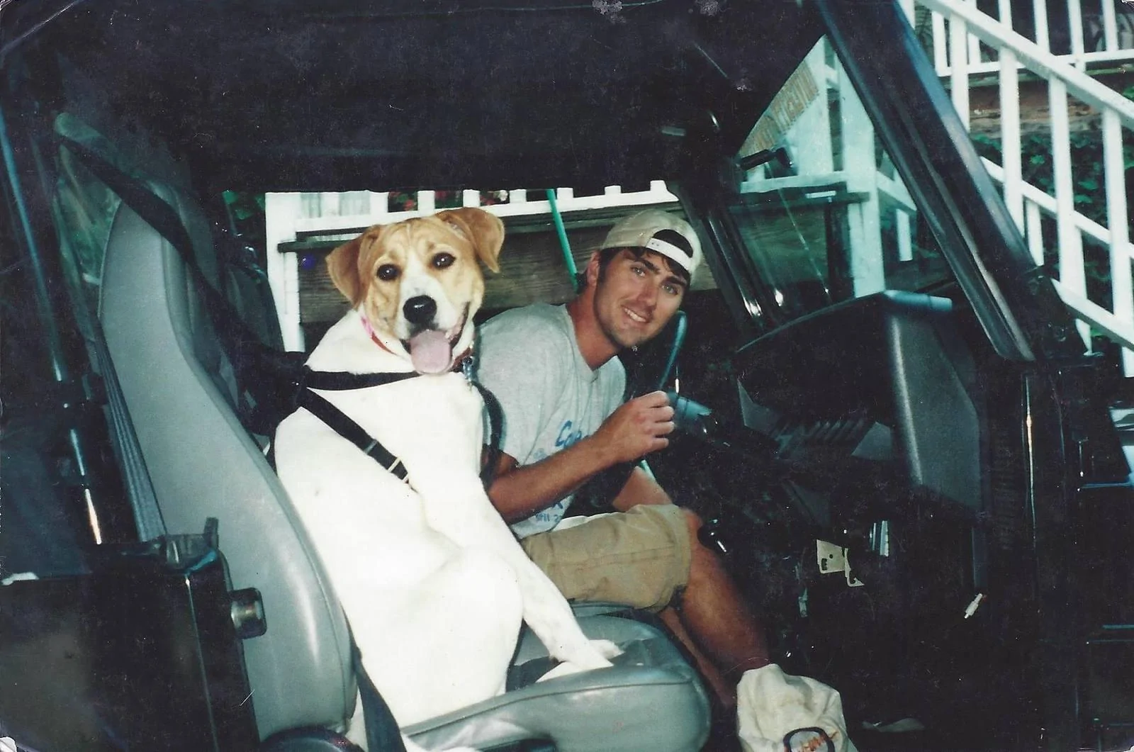 Jeep Wrangler JL Jeep Dog pics aDv_zj3I7ProsR2goJmP6q0CGOeoHdTNsOD1riqErPpQObU1nseWCHzvn04juKILZmgAKoC7A&_nc_ht=scontent-atl