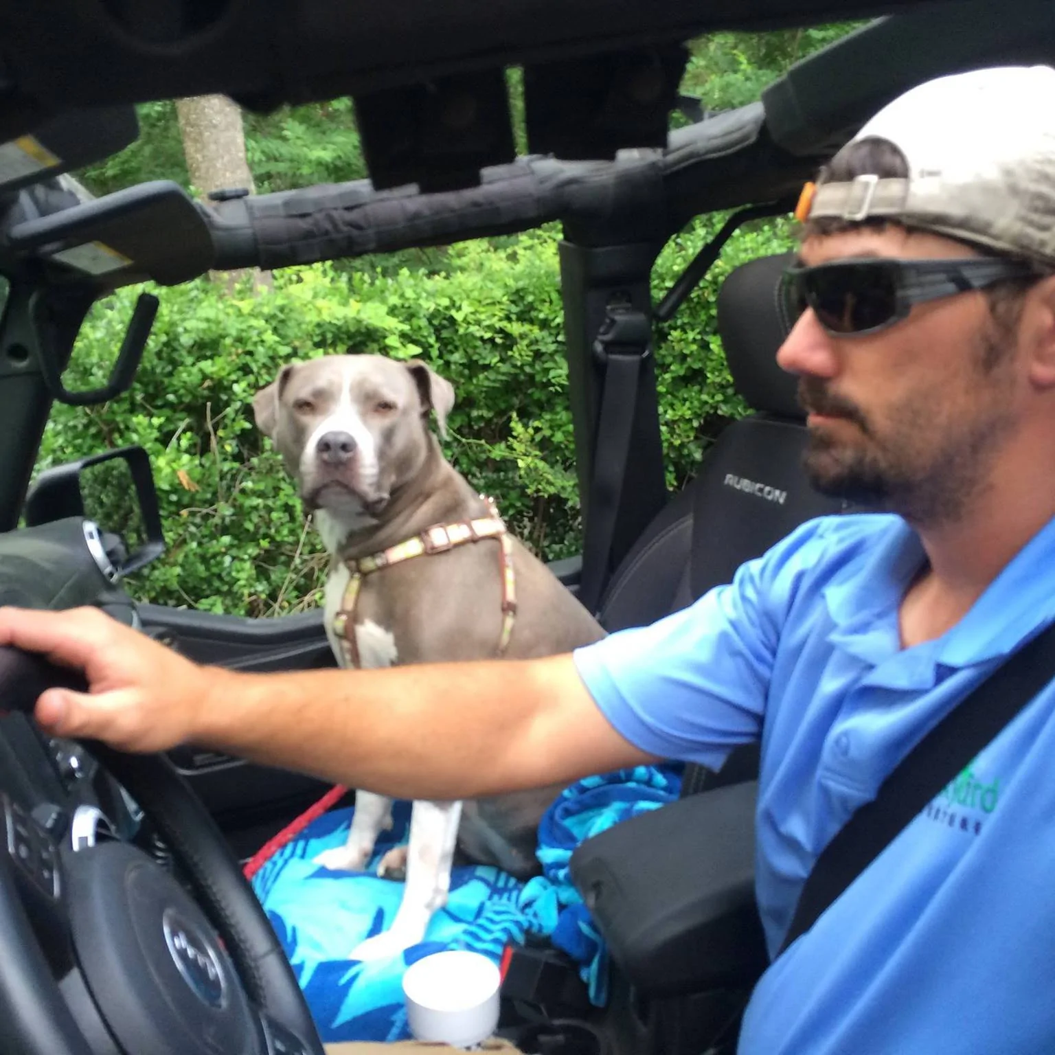 Jeep Wrangler JL Jeep Dog pics iEPOpCtUTGTehs-Ntcgrg56XXSdNN1-tcaZxkaB0fkNxRK5GLEe7_eBsL1k5ETwouBEEHLjxA&_nc_ht=scontent-atl