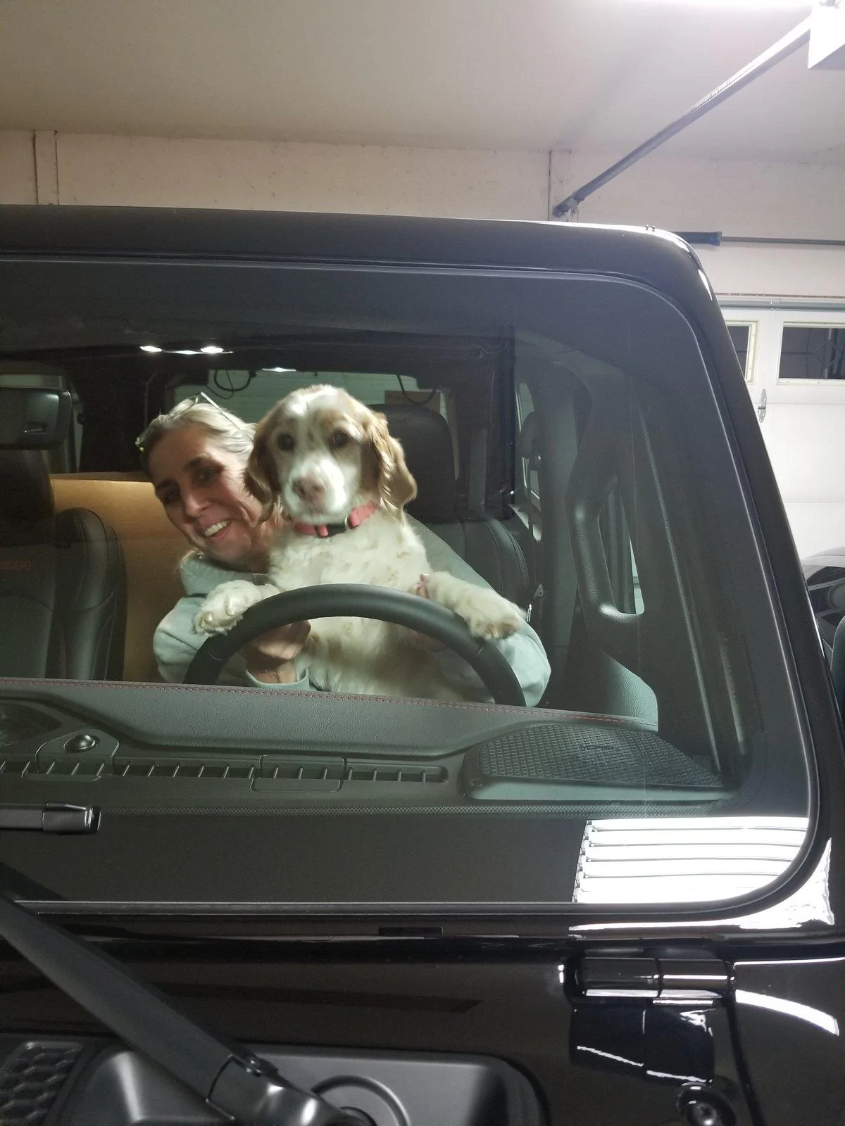 Jeep Wrangler JL Jeep Dog pics 20181214_203247