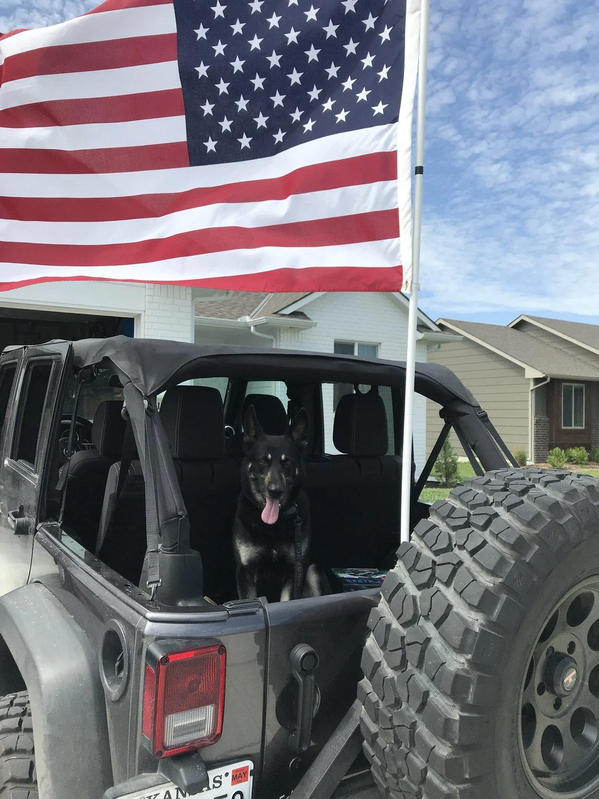 Jeep Wrangler JL Jeep Dog pics 4D23780E-69DD-4654-BA33-537B20E02567