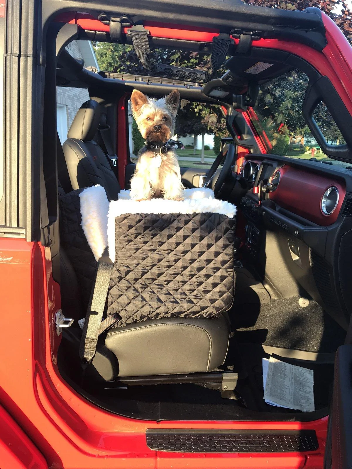 Jeep Wrangler JL Jeep Dog pics 6BCEF90C-B1A0-4267-A2F0-F5A2C60886E1