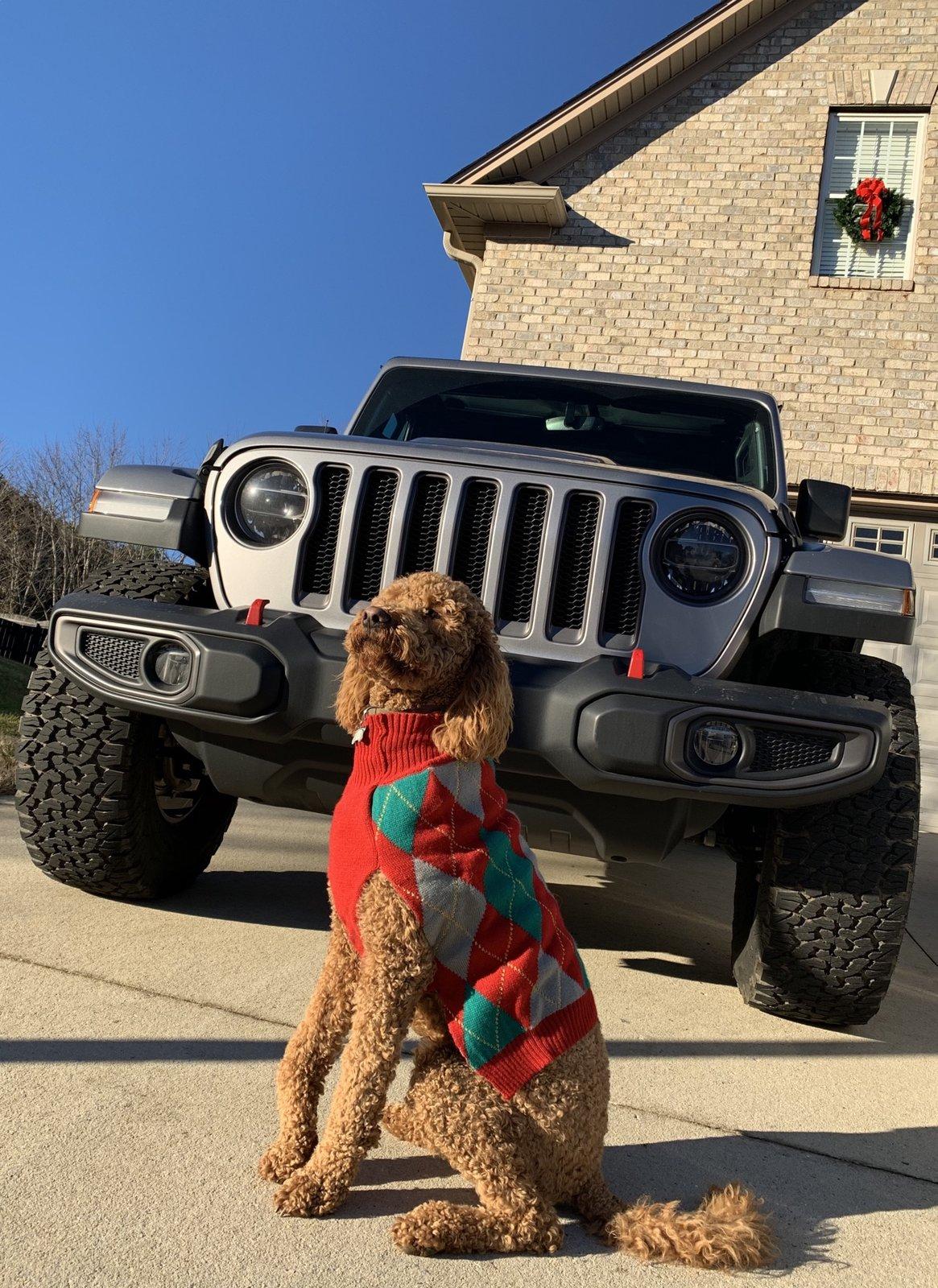 Jeep Wrangler JL Jeep Dog pics 3D7EA14B-5CB8-4AFC-A97C-2BA0452B9BE6