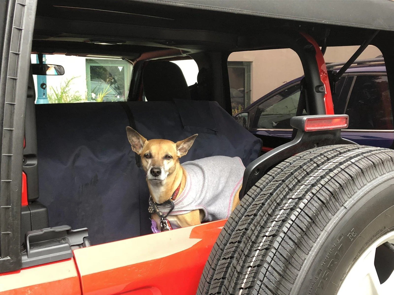 Jeep Wrangler JL Jeep Dog pics EE001334-3928-41E4-92C6-47267B5528AB