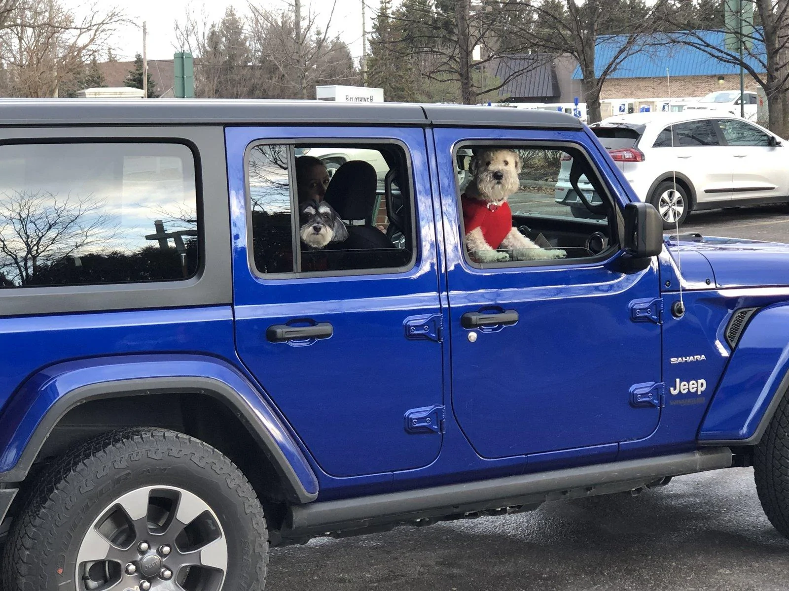 Jeep Wrangler JL Jeep Dog pics E4F32AB5-F0A7-4722-82CB-080879719CC7
